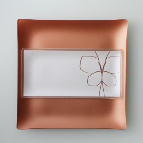 Riverside Design 5x10 Butterfly Plates With Purpose