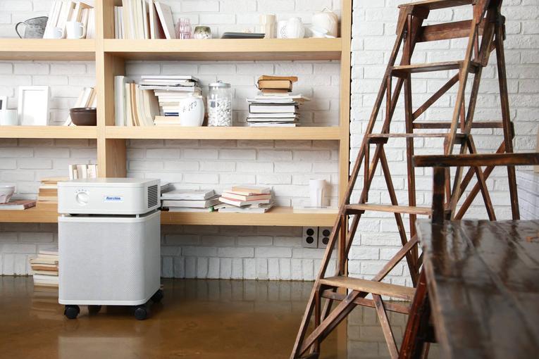 Austin Air HealthMate Air Purifier HEPA