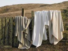 organic blanket
