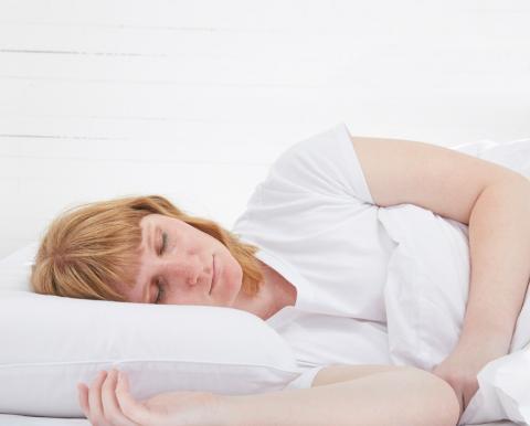 Coyuchi Organic Pillow