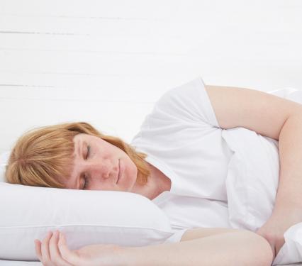 Coyuchi Organic Pillow