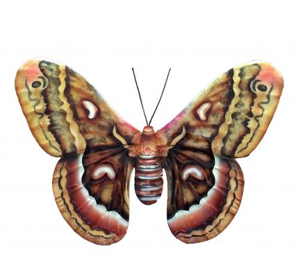 Eangee Butterfly Wall Decor