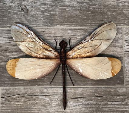 Eangee Dragonfly Wall Decor