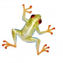 Eangee Red Eyed Tree Frog