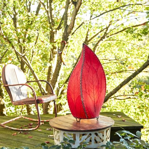 Eangee Outdoor Lamp