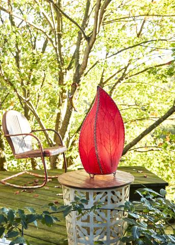 Eangee Outdoor Lamp