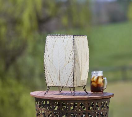 Eangee Outdoor Lamp