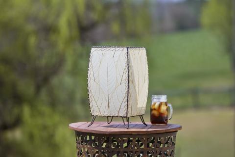 Eangee Outdoor Lamp