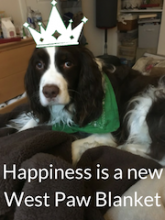 West Paw Washable Dog Blanket