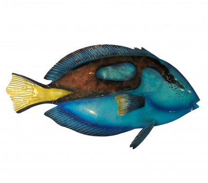 Eangee Fish Wall Decor