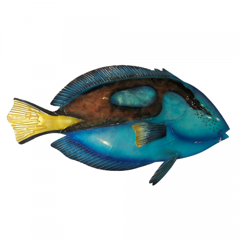 Eangee Fish Wall Decor